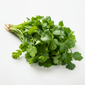 Cilantro - Cruiser - Seeds - Pound
