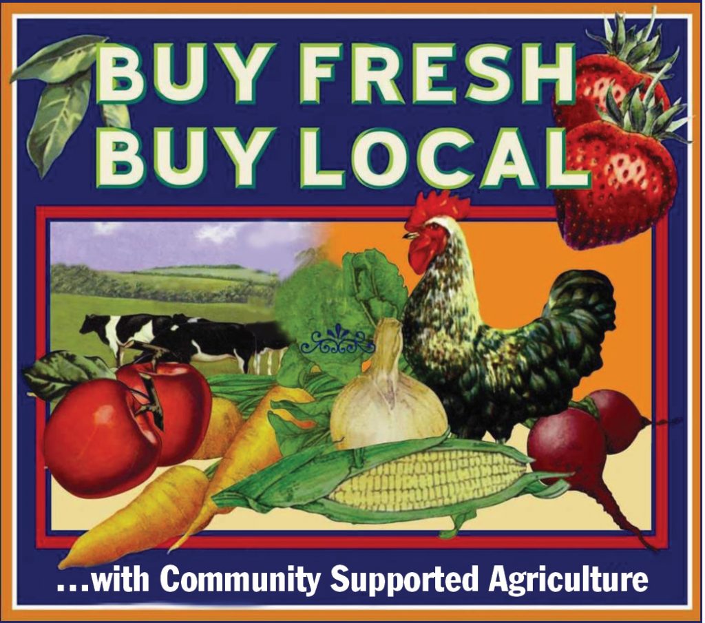 10 Week CSA Share