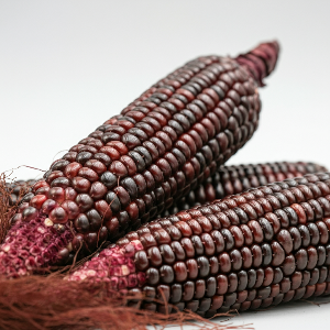 Corn - Calico - Sweet - Pound