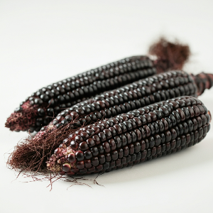 Corn - Dakota Black - Sweet - Pound