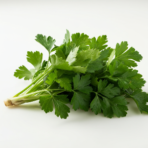 Parsley - Giant of Italy - Mature Leaves - Pound