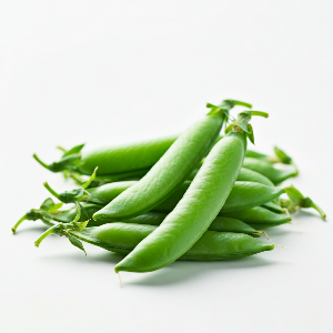 Peas - Oregon Sugar Pod II - Mature Pods - Pound