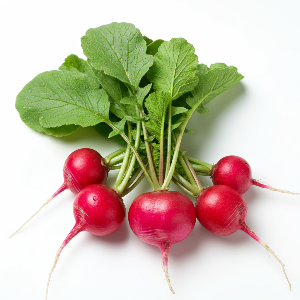 Radishes - Sora - Mature - Pound