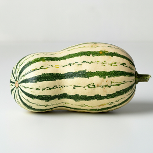 Winter Squash - Zeppelin Delicata - Ripe Squash - Pound